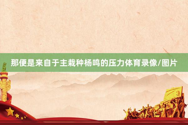 那便是来自于主栽种杨鸣的压力体育录像/图片