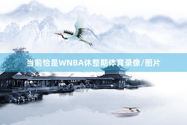 当前恰是WNBA休整期体育录像/图片