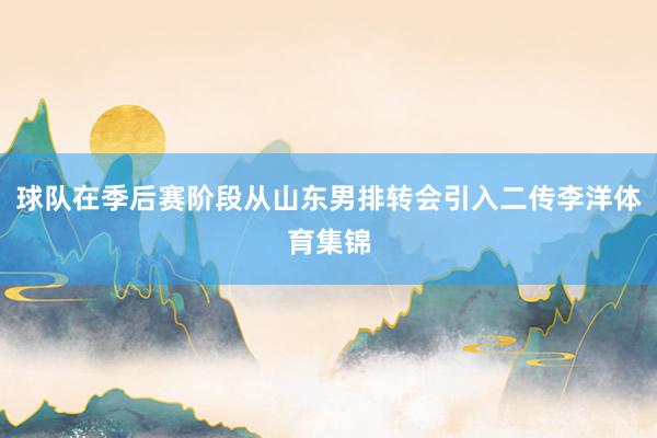 球队在季后赛阶段从山东男排转会引入二传李洋体育集锦