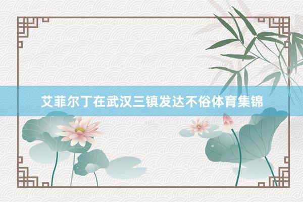 艾菲尔丁在武汉三镇发达不俗体育集锦