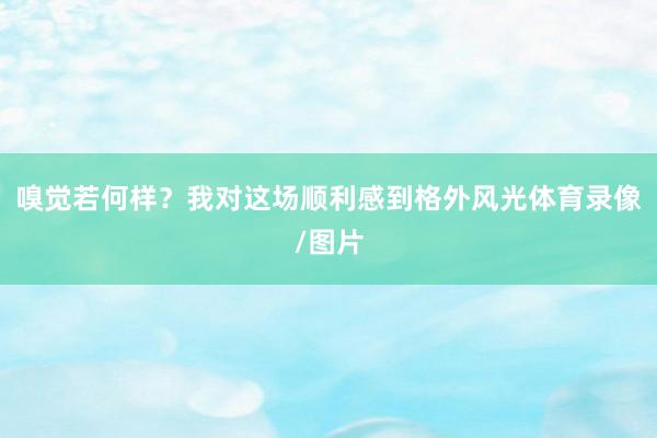 嗅觉若何样？我对这场顺利感到格外风光体育录像/图片