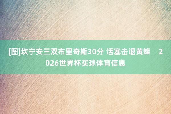 [图]坎宁安三双布里奇斯30分 活塞击退黄蜂    2026世界杯买球体育信息