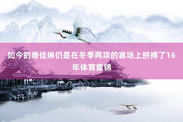 如今的唐佳琳仍是在冬季两项的赛场上拼搏了16年体育集锦