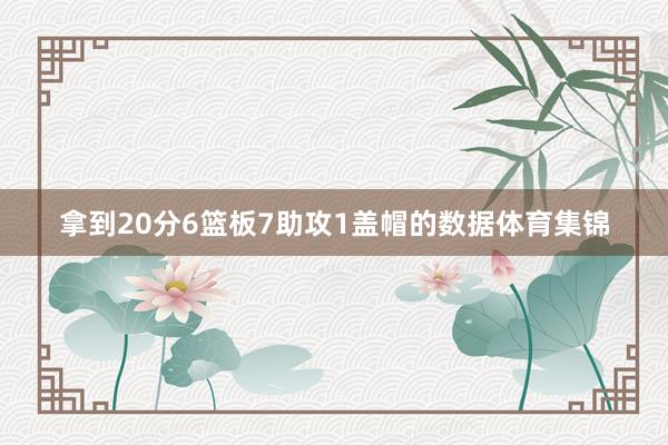 拿到20分6篮板7助攻1盖帽的数据体育集锦