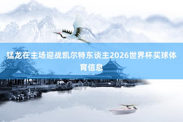 猛龙在主场迎战凯尔特东谈主2026世界杯买球体育信息