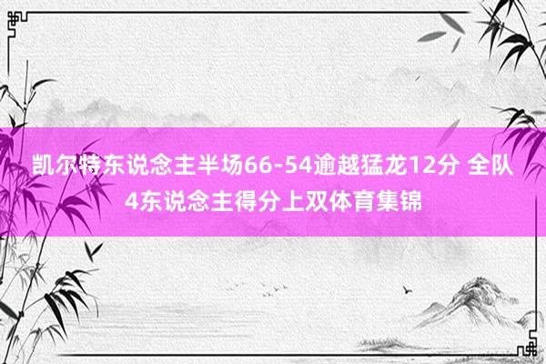 凯尔特东说念主半场66-54逾越猛龙12分 全队4东说念主得分上双体育集锦