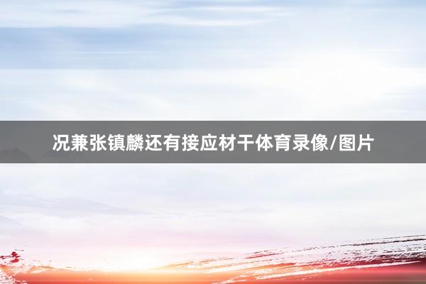 况兼张镇麟还有接应材干体育录像/图片