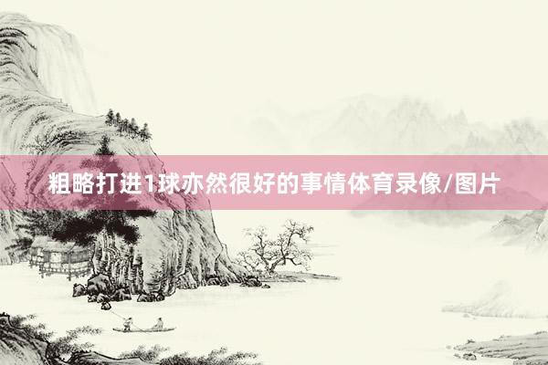 粗略打进1球亦然很好的事情体育录像/图片