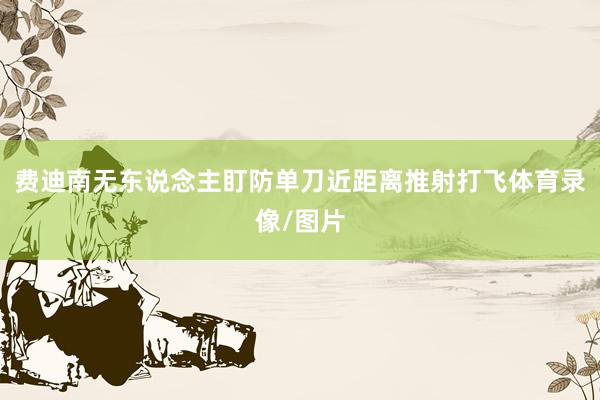 费迪南无东说念主盯防单刀近距离推射打飞体育录像/图片