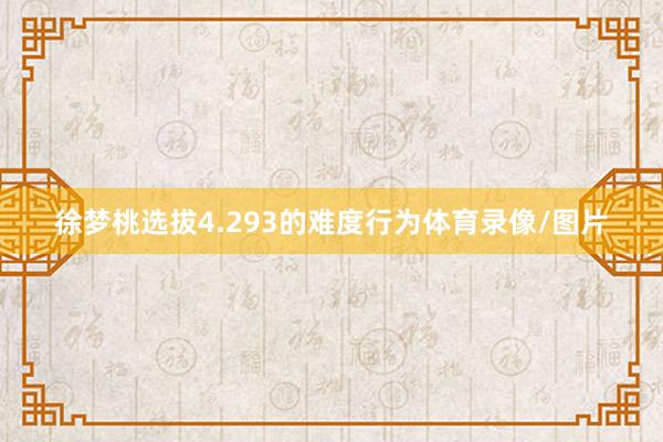 徐梦桃选拔4.293的难度行为体育录像/图片