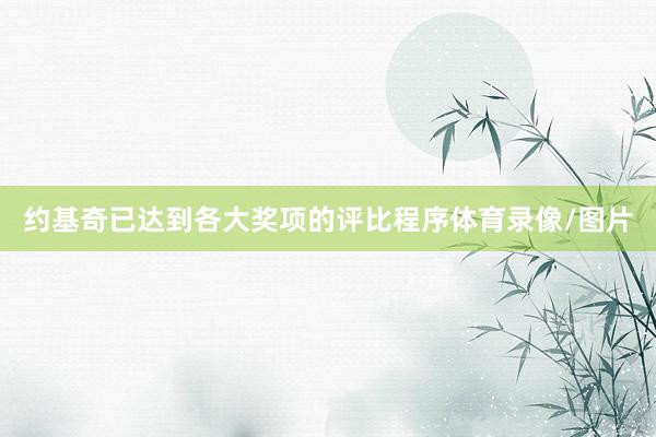 约基奇已达到各大奖项的评比程序体育录像/图片