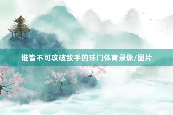 谁皆不可攻破敌手的球门体育录像/图片