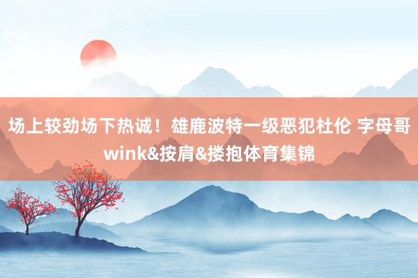 场上较劲场下热诚!雄鹿波特一级恶犯杜伦 字母哥wink&按肩&搂抱体育集锦