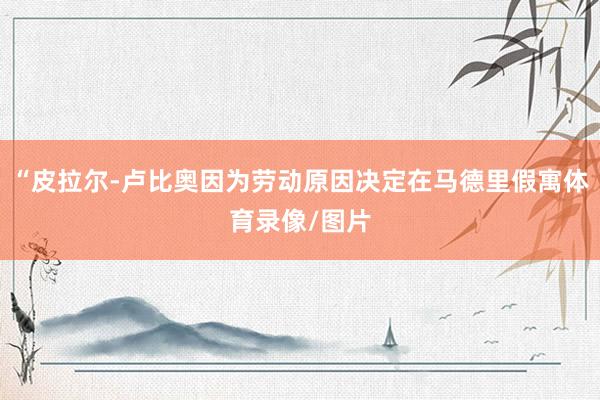 “皮拉尔-卢比奥因为劳动原因决定在马德里假寓体育录像/图片