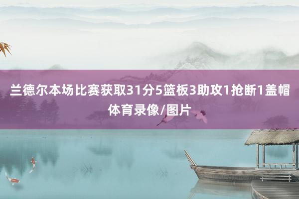 兰德尔本场比赛获取31分5篮板3助攻1抢断1盖帽体育录像/图片