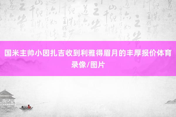 国米主帅小因扎吉收到利雅得眉月的丰厚报价体育录像/图片