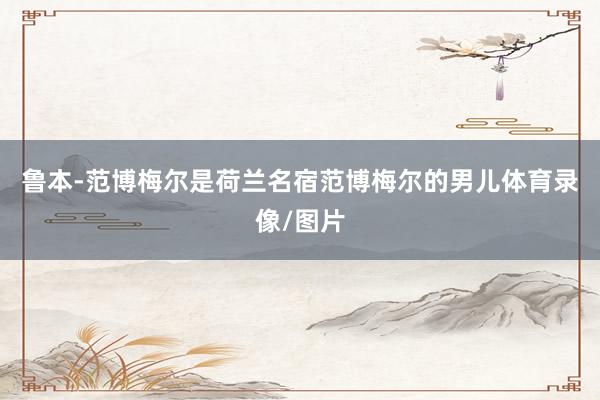 鲁本-范博梅尔是荷兰名宿范博梅尔的男儿体育录像/图片