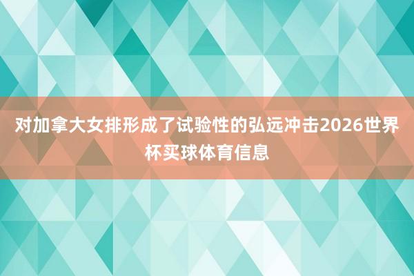 对加拿大女排形成了试验性的弘远冲击2026世界杯买球体育信息