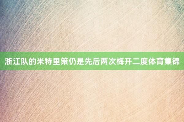 浙江队的米特里策仍是先后两次梅开二度体育集锦