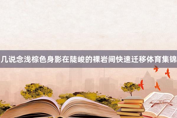 几说念浅棕色身影在陡峻的裸岩间快速迁移体育集锦