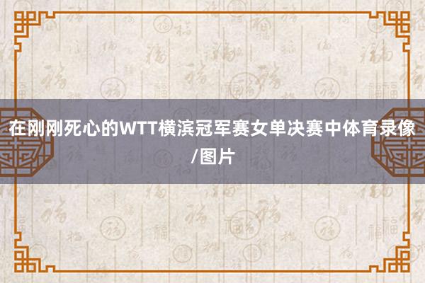 在刚刚死心的WTT横滨冠军赛女单决赛中体育录像/图片