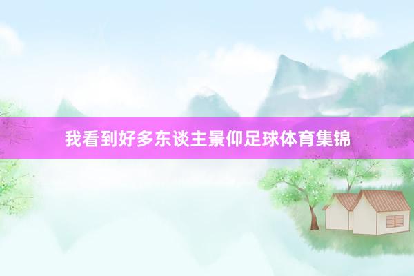 我看到好多东谈主景仰足球体育集锦