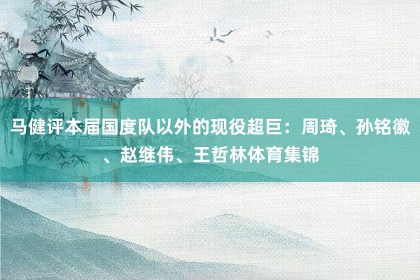 马健评本届国度队以外的现役超巨：周琦、孙铭徽、赵继伟、王哲林体育集锦