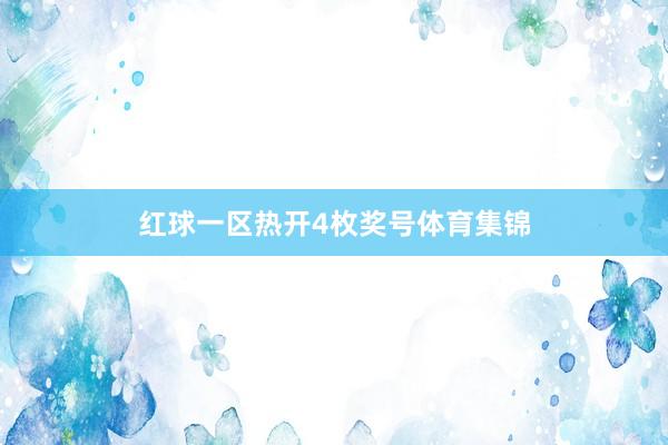 红球一区热开4枚奖号体育集锦