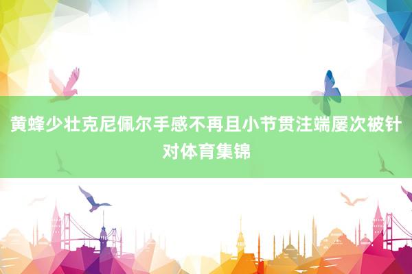 黄蜂少壮克尼佩尔手感不再且小节贯注端屡次被针对体育集锦
