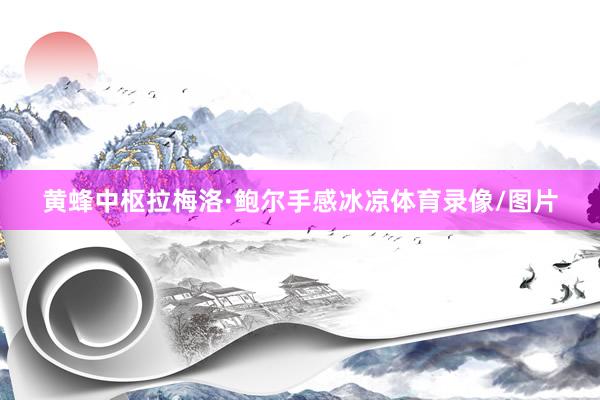 黄蜂中枢拉梅洛·鲍尔手感冰凉体育录像/图片