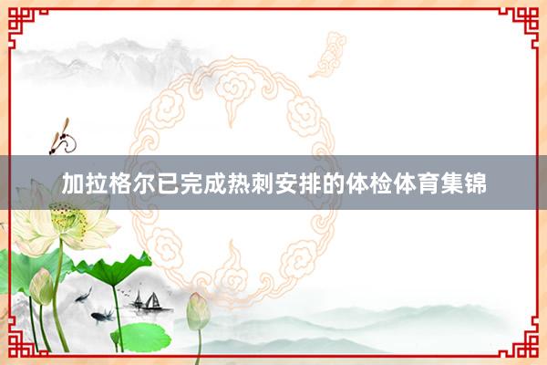 加拉格尔已完成热刺安排的体检体育集锦