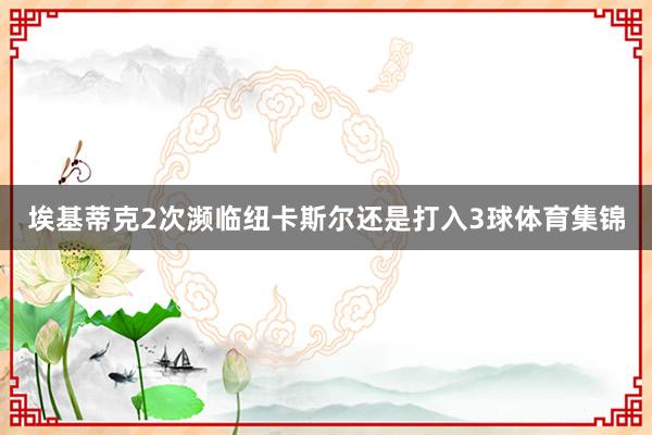 埃基蒂克2次濒临纽卡斯尔还是打入3球体育集锦