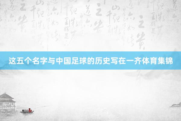 这五个名字与中国足球的历史写在一齐体育集锦