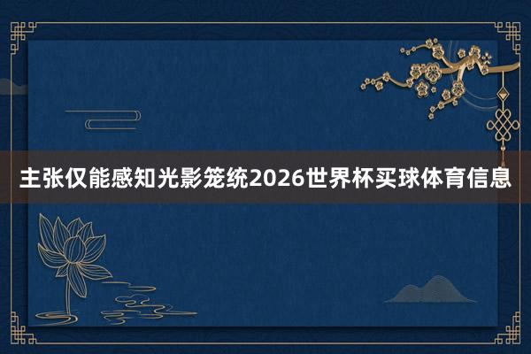 主张仅能感知光影笼统2026世界杯买球体育信息
