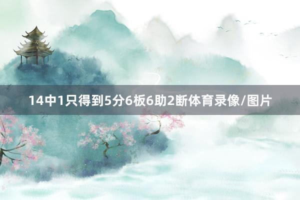 14中1只得到5分6板6助2断体育录像/图片