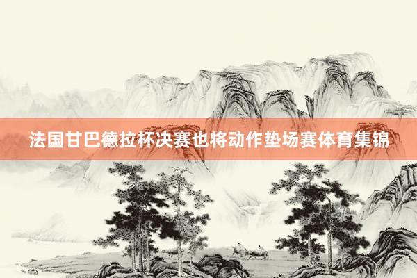 法国甘巴德拉杯决赛也将动作垫场赛体育集锦
