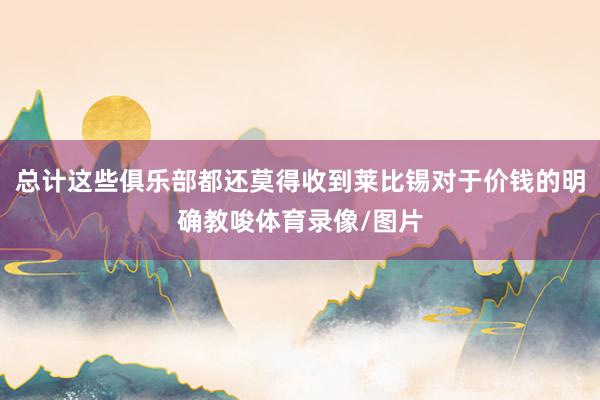 总计这些俱乐部都还莫得收到莱比锡对于价钱的明确教唆体育录像/图片