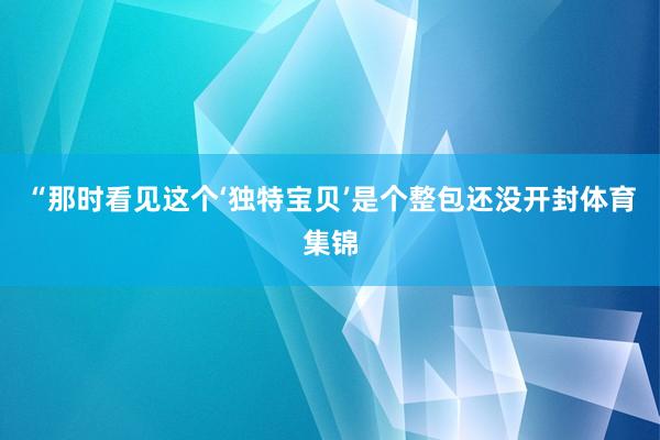 “那时看见这个‘独特宝贝’是个整包还没开封体育集锦