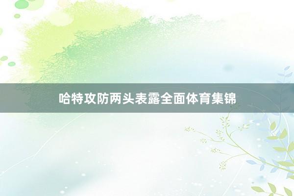 哈特攻防两头表露全面体育集锦