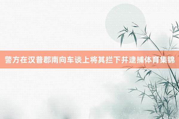 警方在汉普郡南向车谈上将其拦下并逮捕体育集锦