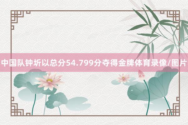 中国队钟圻以总分54.799分夺得金牌体育录像/图片